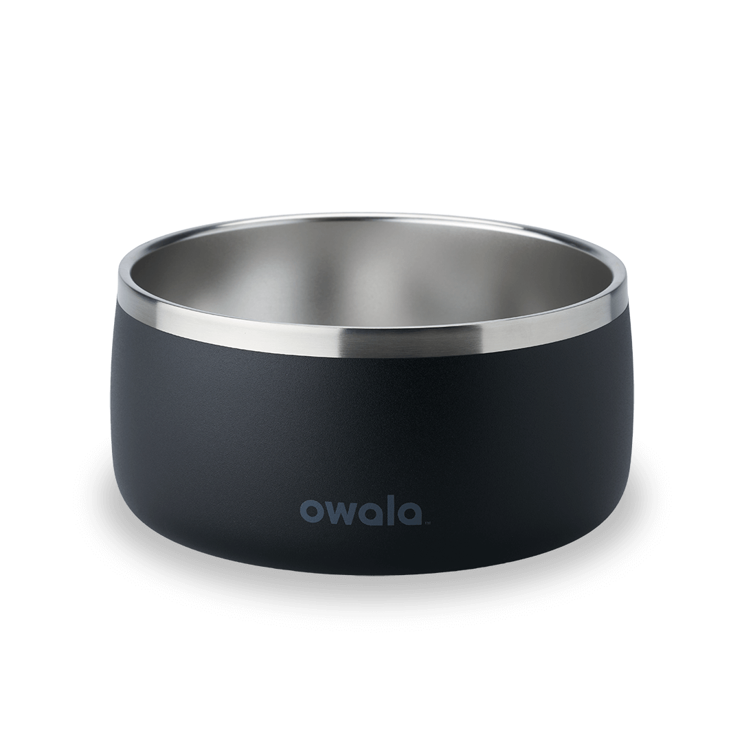 Pet Bowl WOF3MO