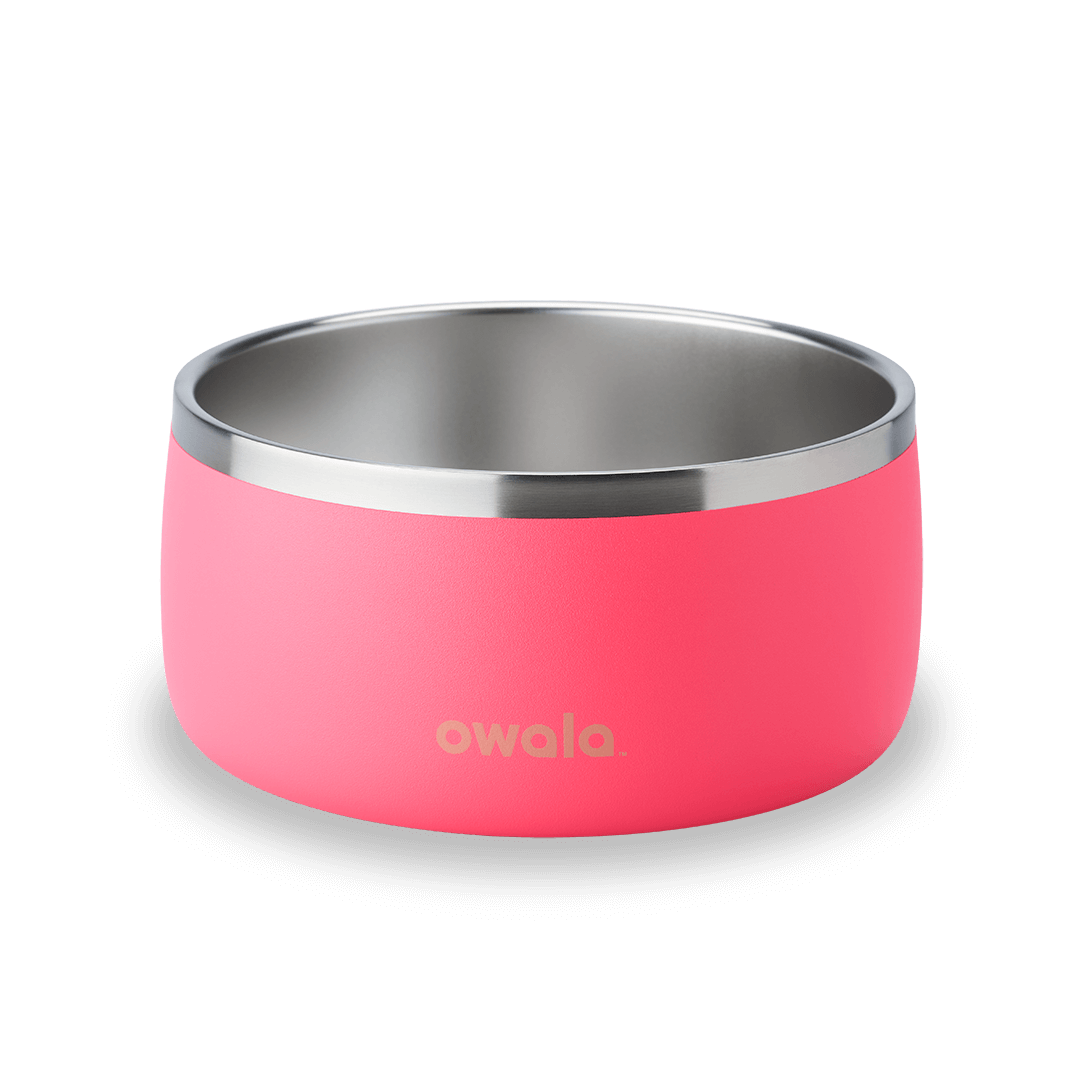 Pet Bowl WOF3MO