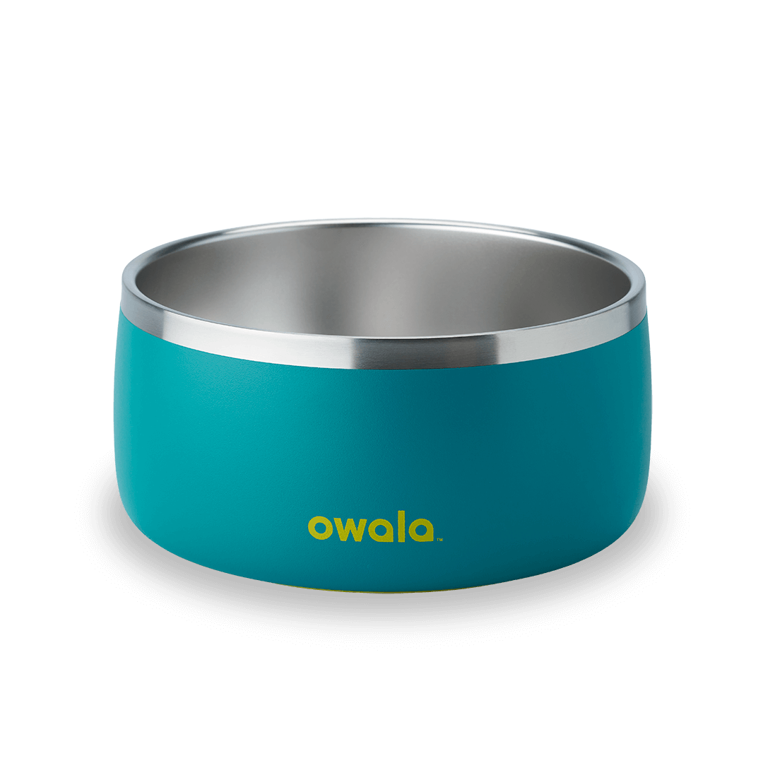 Pet Bowl WOF3MO
