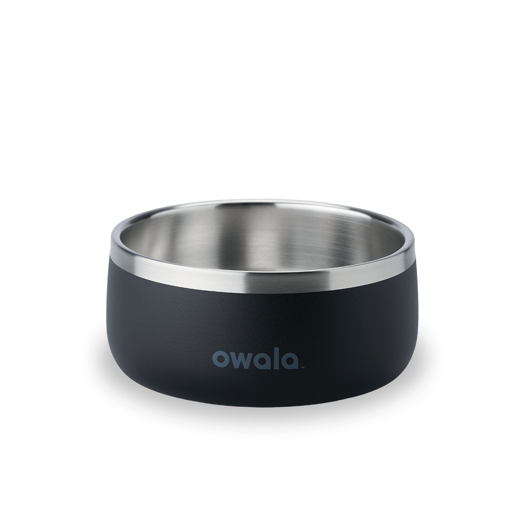 Pet Bowl WOF3MO
