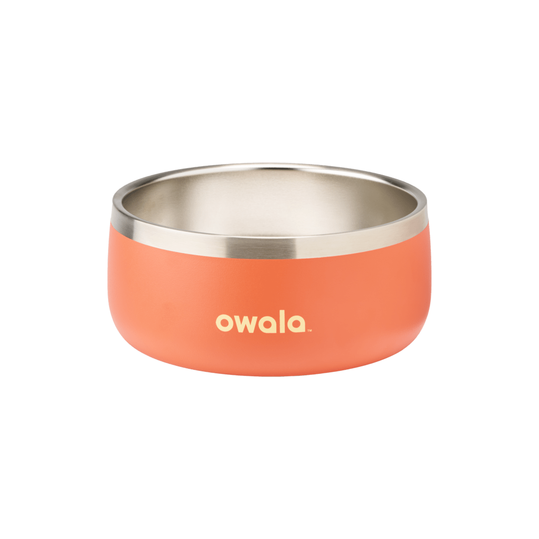 Pet Bowl WOF3MO