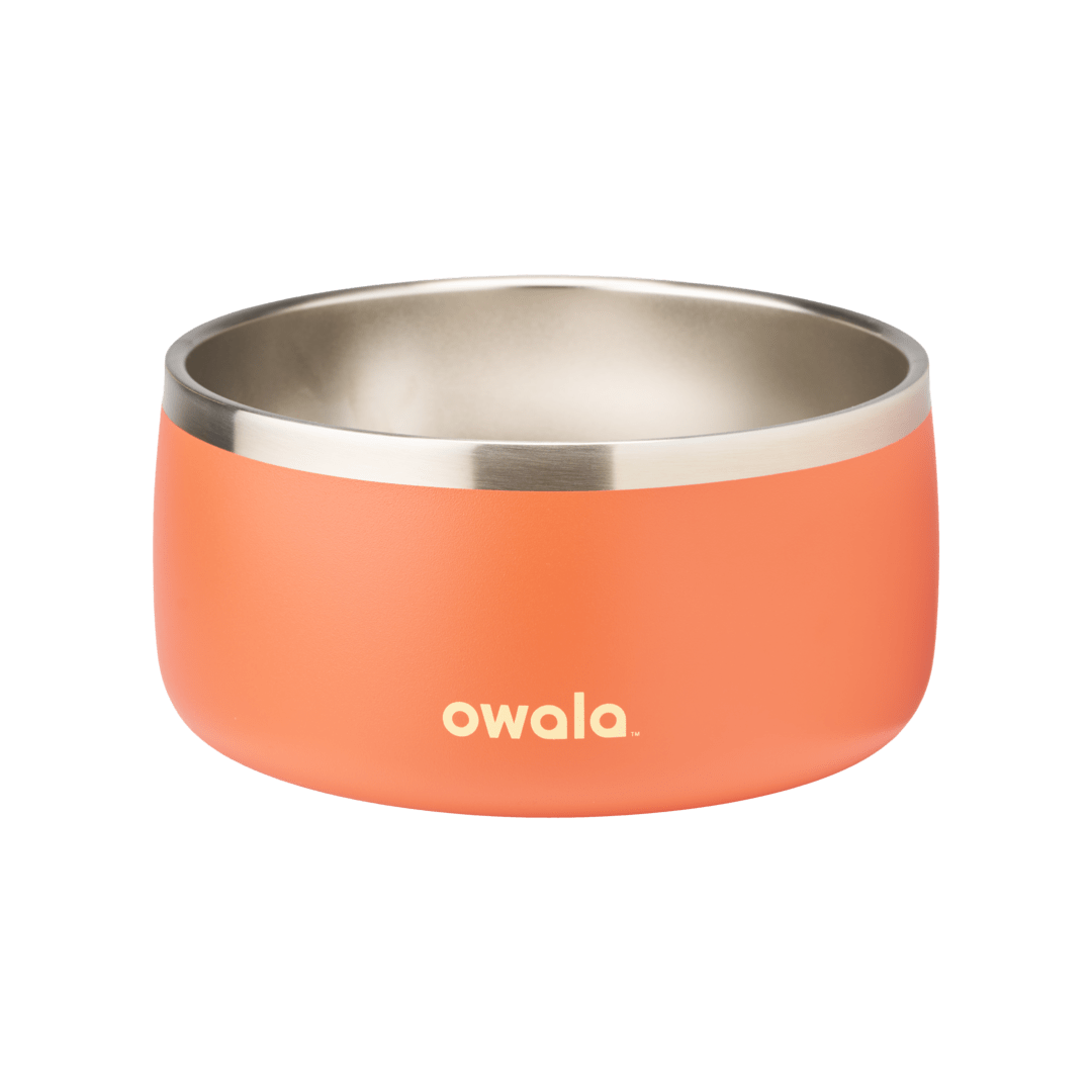 Pet Bowl WOF3MO