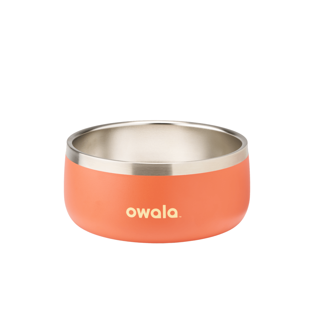 Pet Bowl WOF3MO