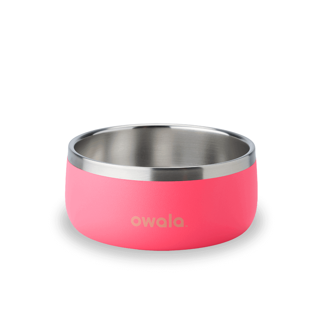 Pet Bowl WOF3MO