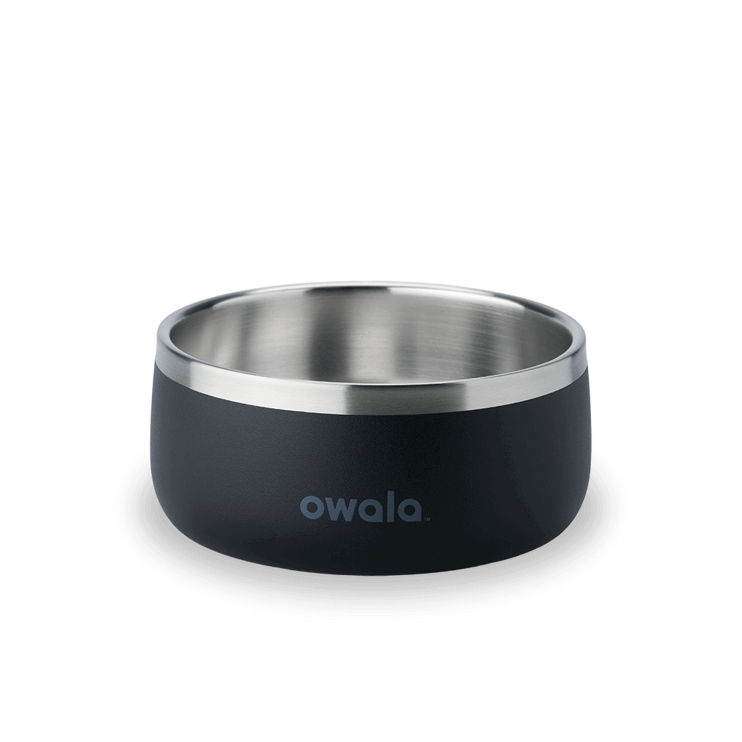Pet Bowl WOF3MO