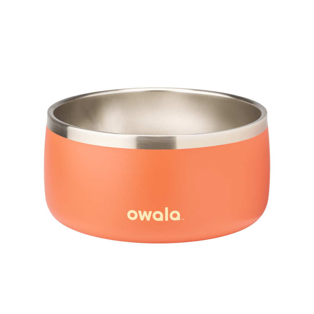 Pet Bowl WOF3MO