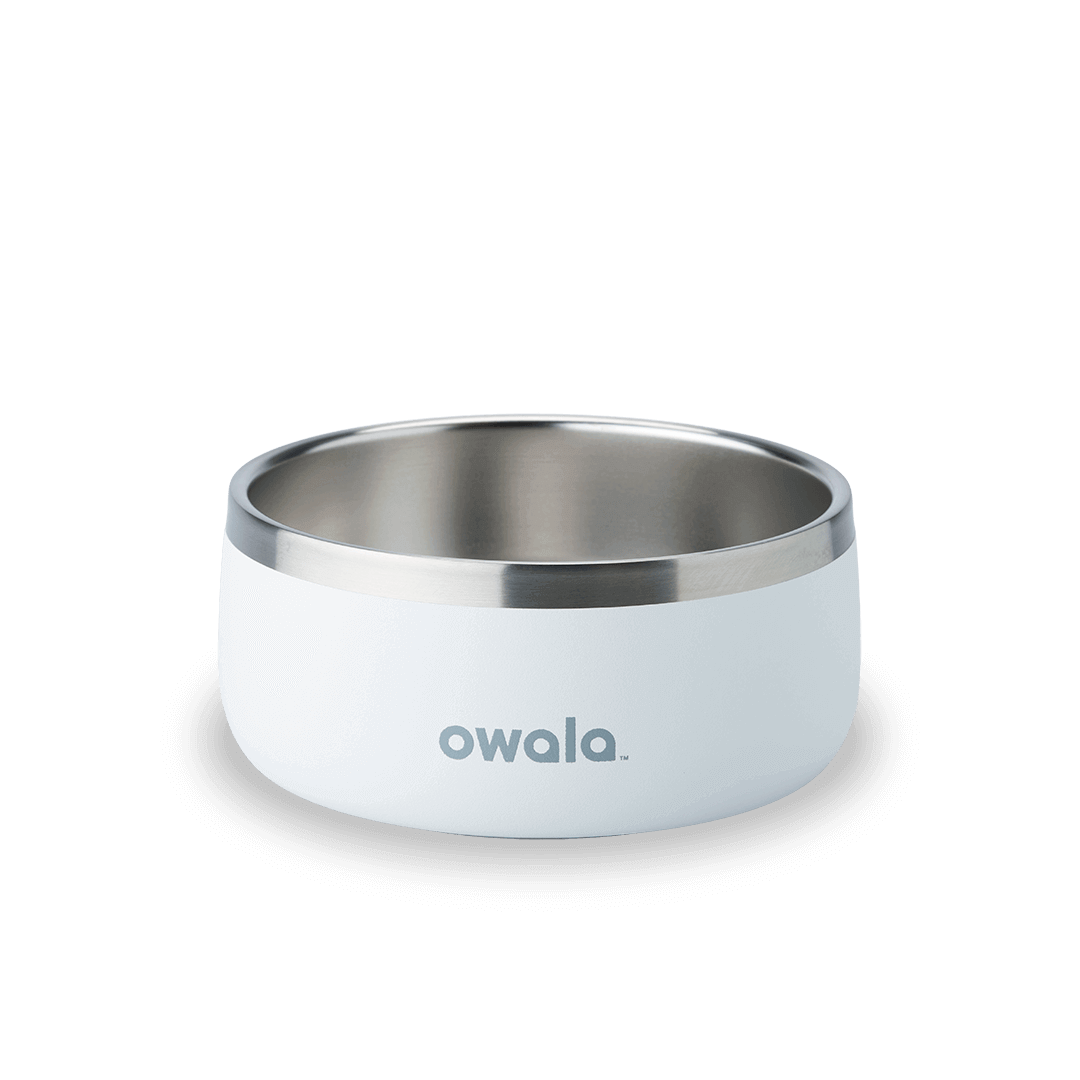 Pet Bowl WOF3MO