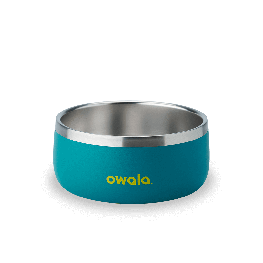 Pet Bowl WOF3MO